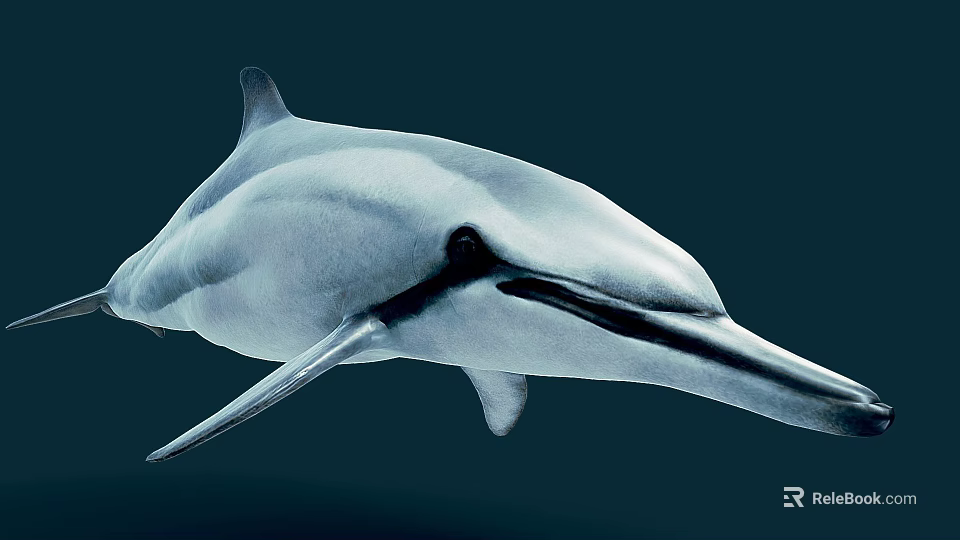 Graceful Dolphin Swimming In Deep Ocean With Sleek Body And Long Beak 3d model 