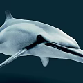 Graceful Dolphin Swimming In Deep Ocean With Sleek Body And Long Beak