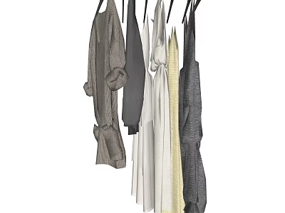 Various Styles of Hanging Clothes in Neutral and Dark Colors on Hangers 3d model