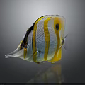 Colorful Butterflyfish With Yellow Stripes Pointed Snout Black Spot And Orange Eyes On Dark Background