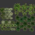 Cartoon Scene Featuring Various 3D Modeled Green Potted Plants With Lush Foliage