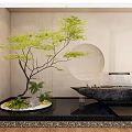 Zen Courtyard Garden Design With Bonsai Tree Stone Basin And Water Feature