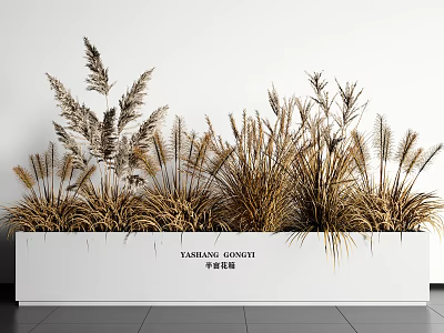 Potted Ornamental Grass In White Rectangular Planter With Tan Colored Foliage For Indoor Decor 3d model