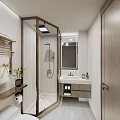 Modern Bathroom Interior Design With Shower Area Marble Vanity Wooden Cabinet And Mirror