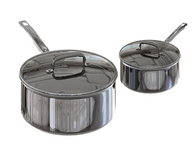 Two Stainless Steel Cookware Pots With Lids And Handles For Kitchen Cooking 3d model