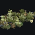 Diverse Shrub Collection With Ornamental Grasses Stones And Green Foliage