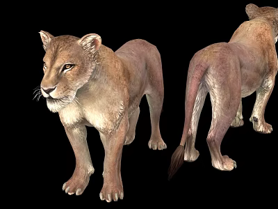 modern lioness 3d model modern lioness 3d model