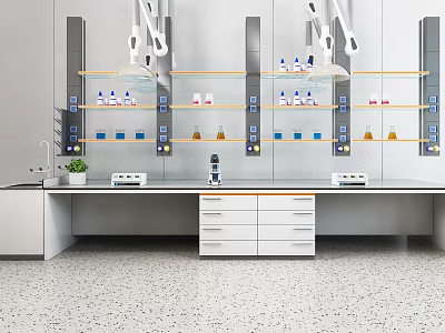 Modern Laboratory Setup With Lab Bench Shelves Reagent Bottles And Equipment 3d model