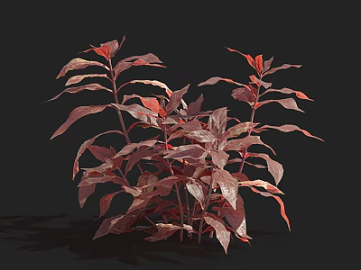 Reddish Purple Leafy Aquatic Plants Growing In Isolated Black Background 3d model