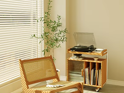 Wicker Leisure Chair With Window Blinds Green Plant Wooden Cart Record Player And Bookshelf 3d model