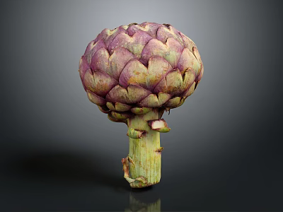 Fresh Purple Artichoke With Tightly Packed Leaves And Green Stem Against Dark Background 3d model