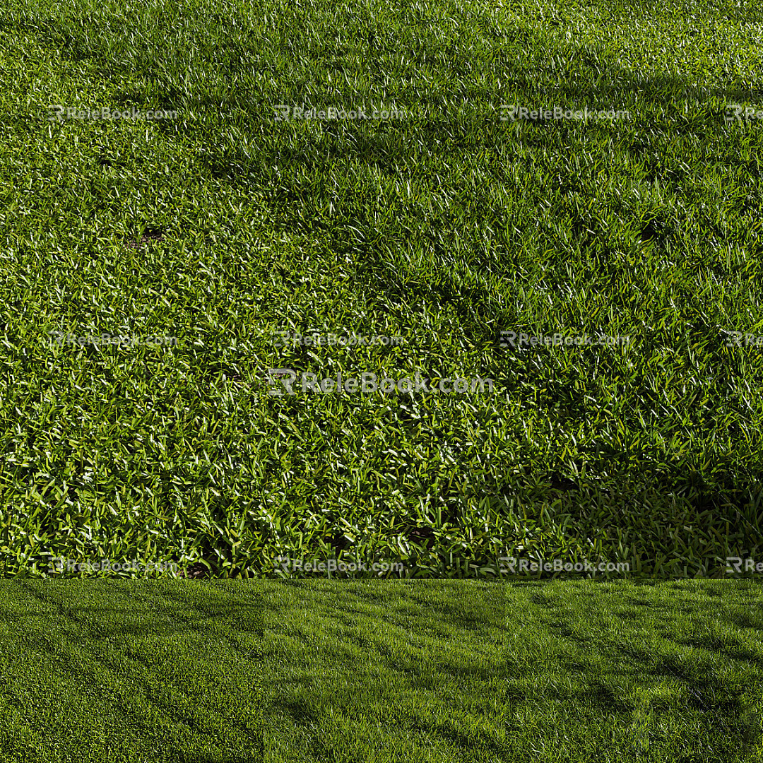 Modern Lawn Green Grass 3d model