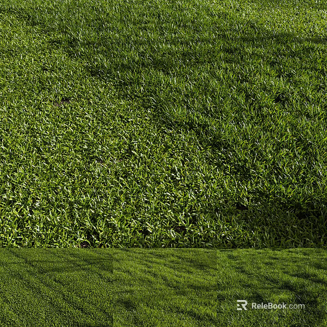 Lush Green Grass Lawn With Dense Vibrant Herbaceous Plants In Natural Light 3d model 