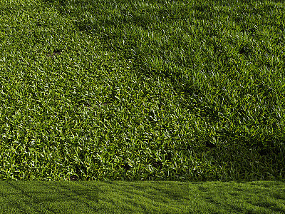 Modern Lawn Green Grass 3d model