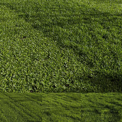 Lush Green Grass Lawn With Dense Vibrant Herbaceous Plants In Natural Light 3d model