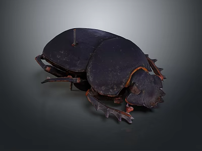 Realistic Black Beetle With Textured Shell And Segmented Legs On Dark Background 3d model
