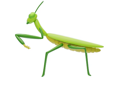 Green Flying Mantis With Long Slender Legs And Winged Body Structure 3d model