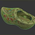 Traditional Dutch Wooden Clog With Colorful Floral Patterns And Hand Painted Artwork