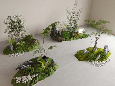 Small Indoor Garden Arrangements With Various Plants Ferns Trees Rocks And Pebbles 3d model