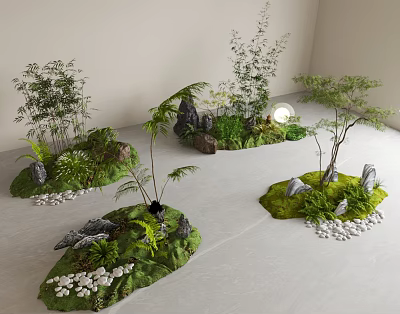 Small Indoor Garden Arrangements With Various Plants Ferns Trees Rocks And Pebbles 3d model