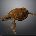 Orange Brown Turtle With Patterned Shell And Detailed Flippers In Realistic Design