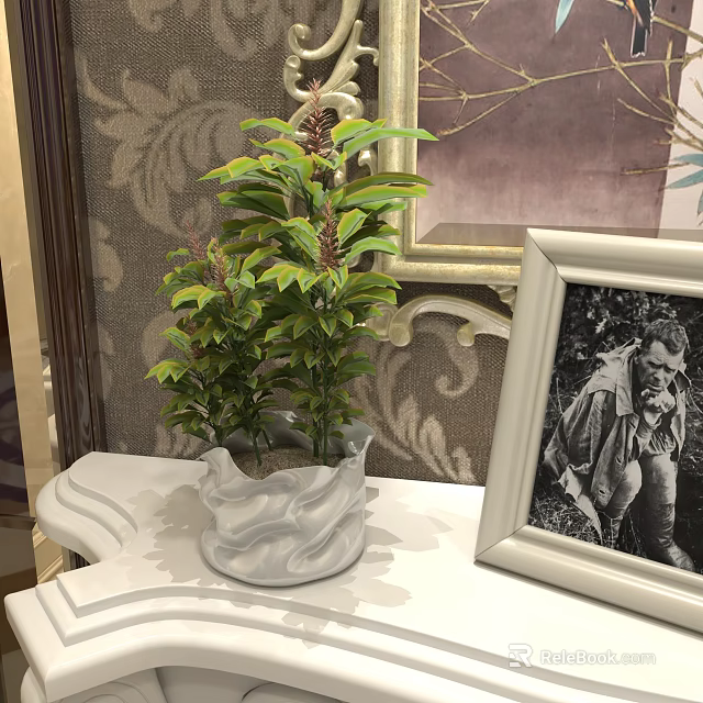 Bonsai Potted Plant in White Wavy Pot with Ornamental Patterned Wallpaper and Picture Frame Indoor 3d model 