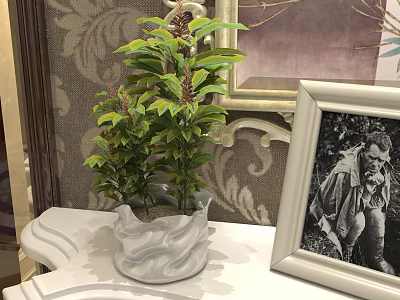 Bonsai Potted Plant in White Wavy Pot with Ornamental Patterned Wallpaper and Picture Frame Indoor 3d model