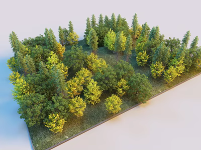 Plant Combination Featuring Various Trees Shrubs Green and Yellow Foliage Natural Landscape 3d model