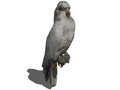 Gray Flying Parrot Perched on Wooden Perch Displaying Natural Feather Details 3d model