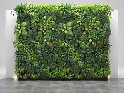 Living Green Plant Wall With Diverse Lush Foliage Indoor Decorative Design 3d model