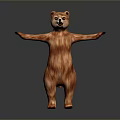 Brown Bear Toy Figure Standing With Open Arms And Fluffy Texture On Grey Background
