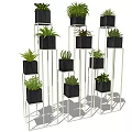 Bonsai Potted Plants Display On Multiple Tier Metal Stands With Various Green Foliage