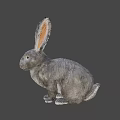 Gray Rabbit Game Movie Character With Long Ears In Sitting Pose On Dark Background