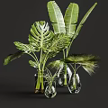 Transparent Glass Vases With Monstera Banana And Palm Leaves For Home Decor