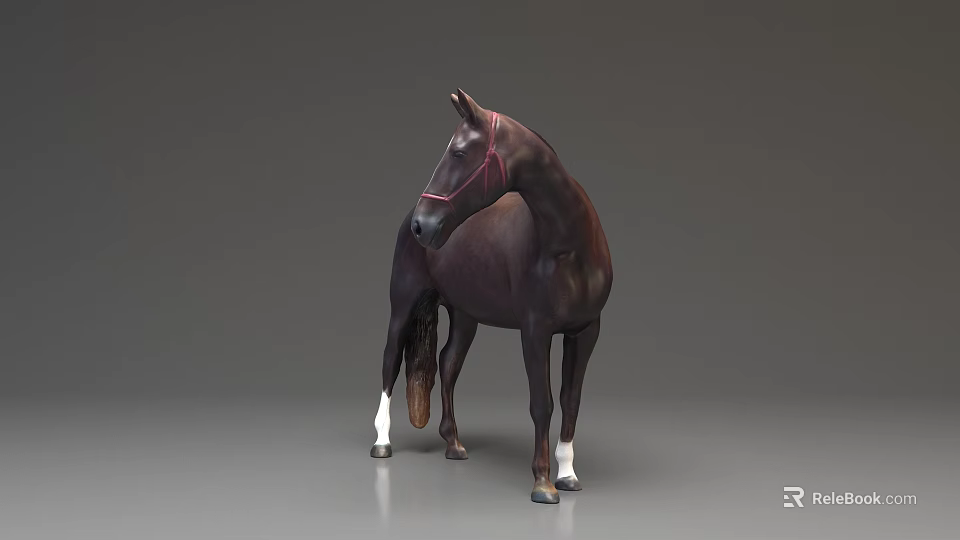 Brown Reptile With Red Harness Standing On Gray Background Surface 3d model 