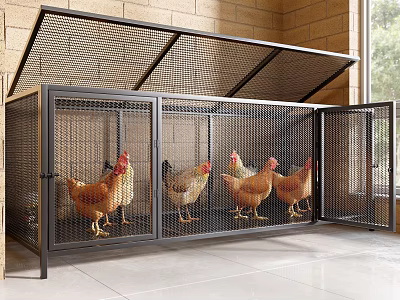 Spacious Metal Pet Cage With Wire Mesh Design Open Top And Chickens Inside 3d model