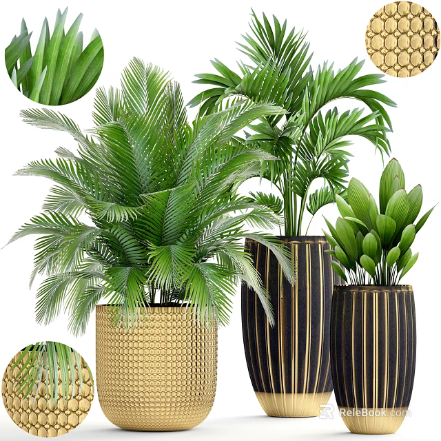 Lush Green Bonsai Potted Plants With Woven And Striped Planters For Indoor Decor 3d model 