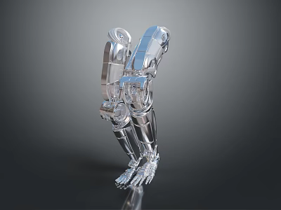 Transparent Acrylic Human Shaped Modern Household Items With Decorative Design For Home 3d model