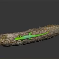 Vibrant Green Lizard Perched On Weathered Wooden Log With Textured Surface