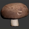 Fresh Red Mushroom With Smooth Round Cap And White Stem On Dark Background
