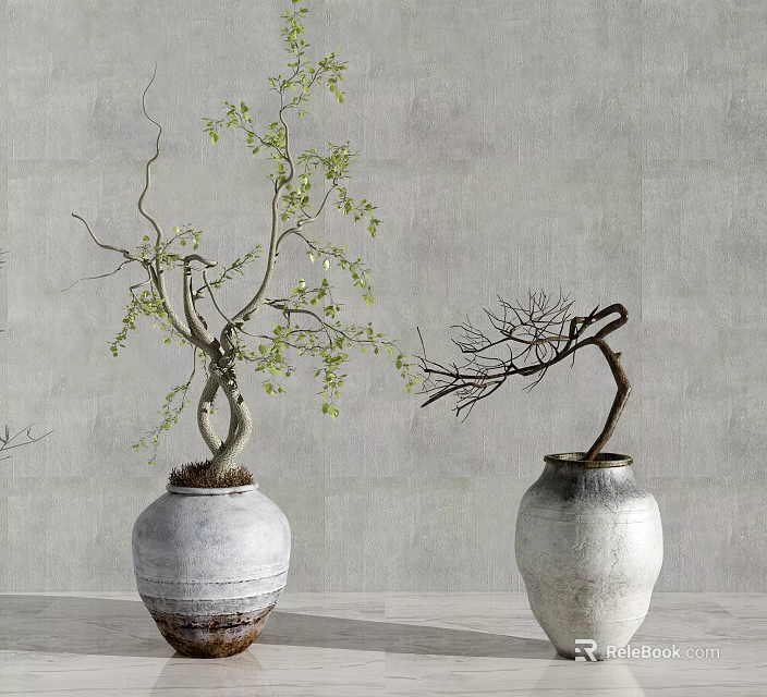 Indoor Bonsai Potted Plants With Green Leaves And Bare Branches In White Textured Pots 3d model 