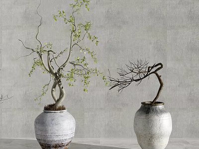 Indoor Bonsai Potted Plants With Green Leaves And Bare Branches In White Textured Pots 3d model