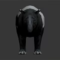 Realistic black and white tapir with long snout standing on dark background