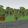 Lush Grape Vines Covered Pergola With Fresh Grapes Wine Bottles And Basket On Green Grass