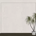Warm Textured Wall With Light Shadow And Green Plant Next To Wooden Floor