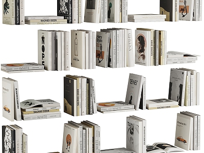 Modern Books 3d model