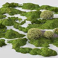 Natural Microtopography Design Featuring Green Grass Bushes Small Plants And Stones