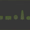 Five Different Shaped Plants on Black Smooth Surface with 3D Model Appearance and Varied Heights