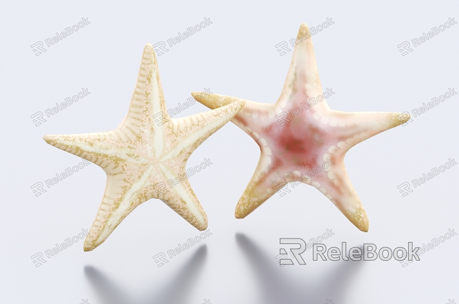 Starfish Starfish Marine Creatures model