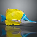 Vibrant Yellow And Blue Fish Figurine With Long Beak On Reflective Smooth Surface